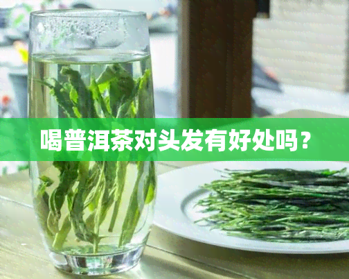 喝普洱茶对头发有好处吗？