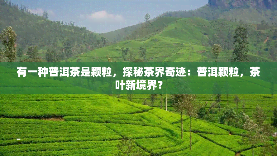 有一种普洱茶是颗粒，探秘茶界奇迹：普洱颗粒，茶叶新境界？