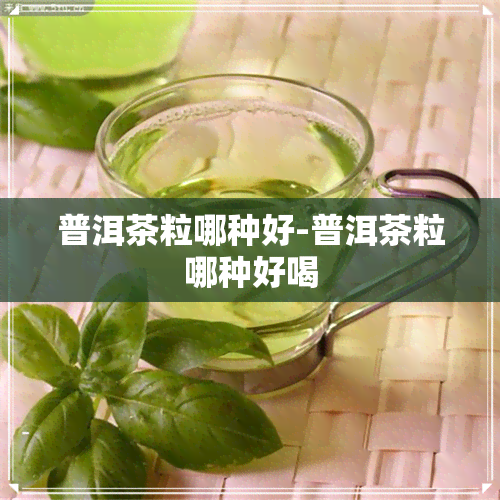 普洱茶粒哪种好-普洱茶粒哪种好喝