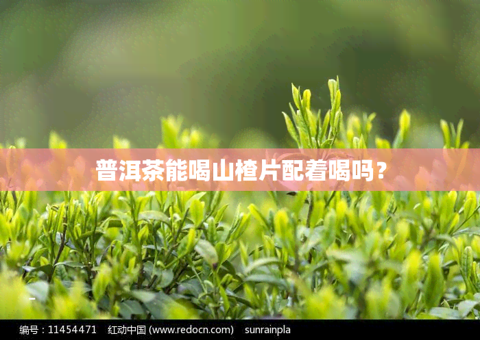 普洱茶能喝山楂片配着喝吗？