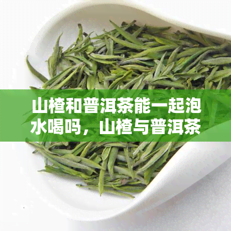 山楂和普洱茶能一起泡水喝吗，山楂与普洱茶：能否搭配泡水饮用？