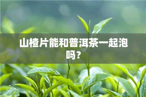 山楂片能和普洱茶一起泡吗？