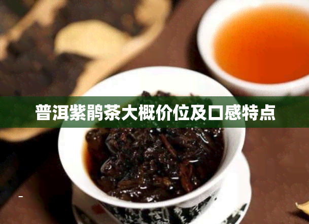 普洱紫鹃茶大概价位及口感特点