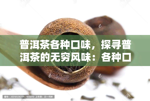 普洱茶各种口味，探寻普洱茶的无穷风味：各种口味全解析