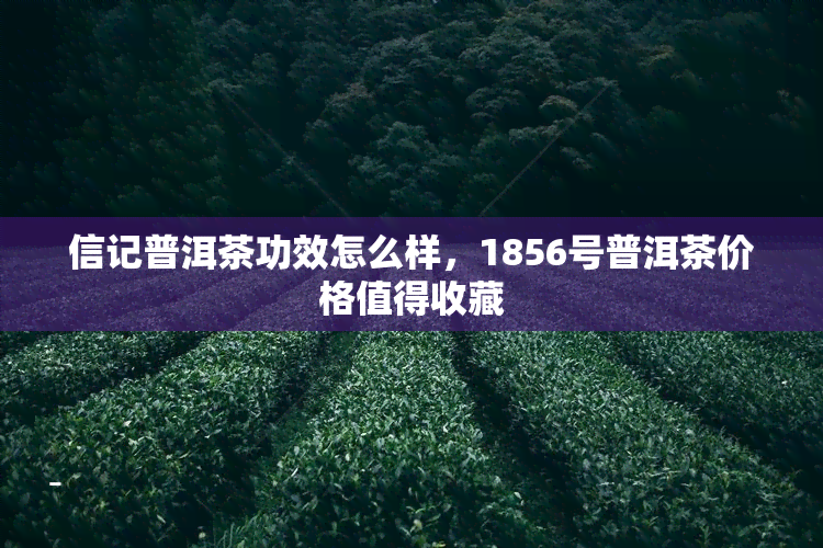 信记普洱茶功效怎么样，1856号普洱茶价格值得收藏