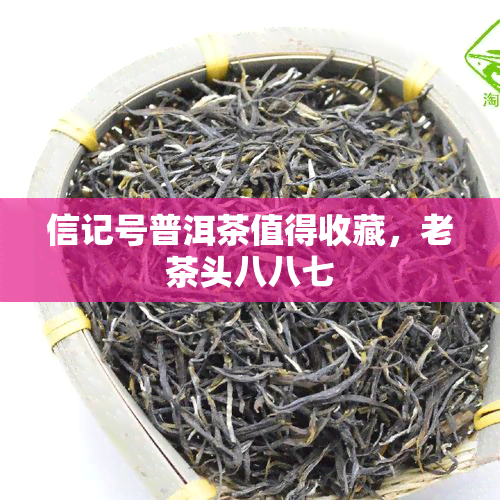 信记号普洱茶值得收藏，老茶头八八七