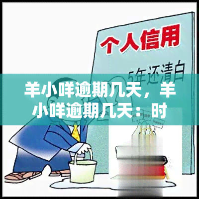 羊小咩逾期几天，羊小咩逾期几天：时间的挑战与解决方案