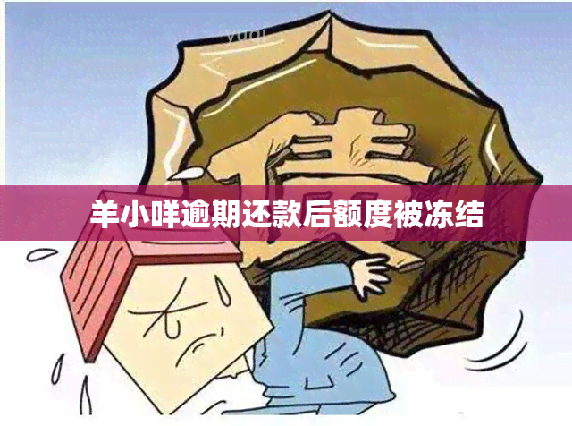 羊小咩逾期还款后额度被冻结