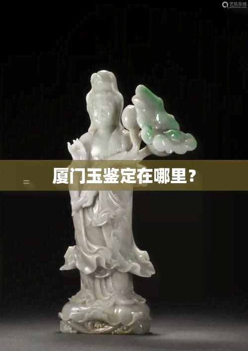 厦门玉鉴定在哪里？