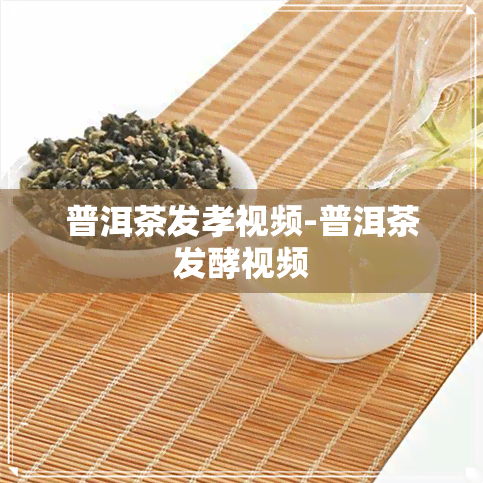 普洱茶发孝视频-普洱茶发酵视频