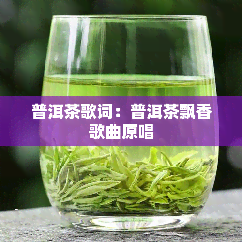 普洱茶歌词：普洱茶飘香歌曲原唱