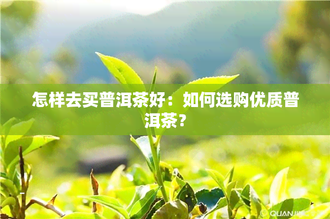 怎样去买普洱茶好：如何选购优质普洱茶？