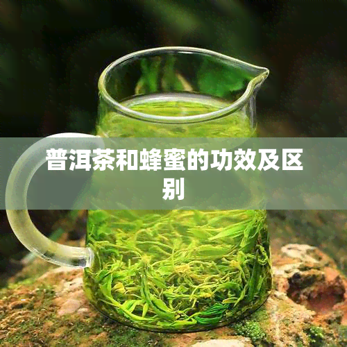 普洱茶和蜂蜜的功效及区别