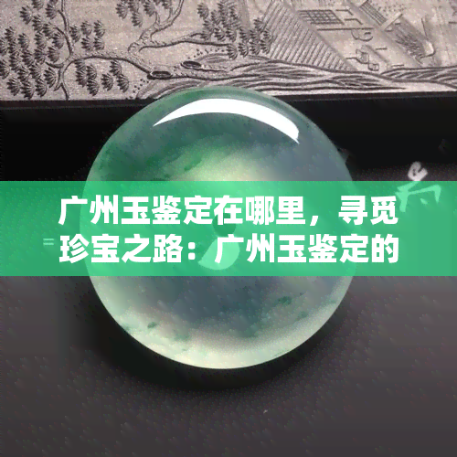 广州玉鉴定在哪里，寻觅珍宝之路：广州玉鉴定的位置揭秘