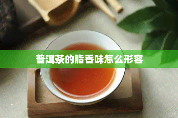 普洱茶的脂香味怎么形容