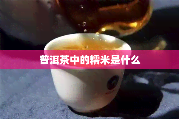 普洱茶中的糯米是什么