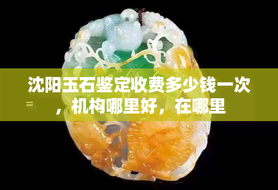 沈阳玉石鉴定收费多少钱一次，机构哪里好，在哪里