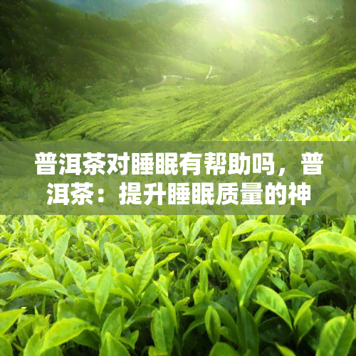 普洱茶对睡眠有帮助吗，普洱茶：提升睡眠质量的神奇之道？