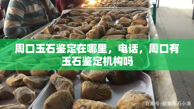 周口玉石鉴定在哪里，电话，周口有玉石鉴定机构吗