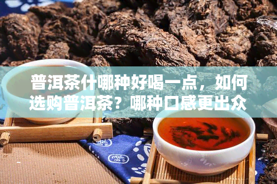 普洱茶什哪种好喝一点，如何选购普洱茶？哪种口感更出众？