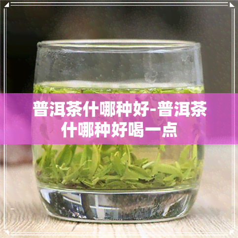 普洱茶什哪种好-普洱茶什哪种好喝一点