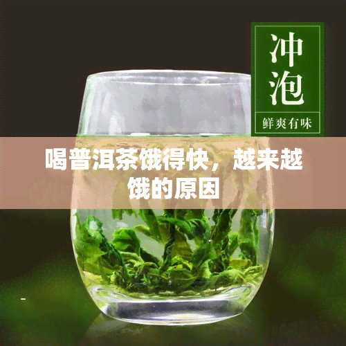 喝普洱茶饿得快，越来越饿的原因