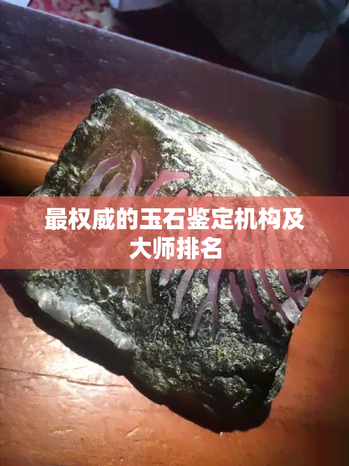 最权威的玉石鉴定机构及大师排名