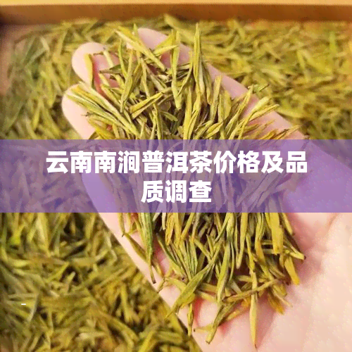 云南南涧普洱茶价格及品质调查