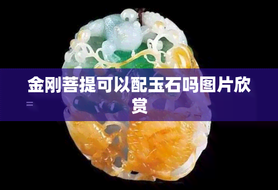 金刚菩提可以配玉石吗图片欣赏