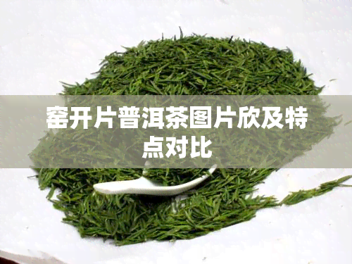 窑开片普洱茶图片欣及特点对比