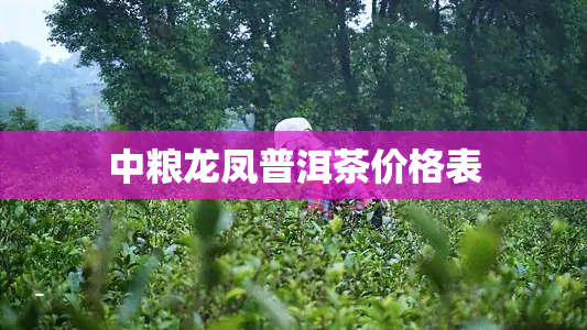 中粮龙凤普洱茶价格表