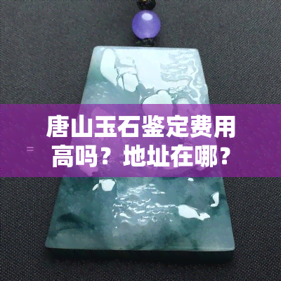 唐山玉石鉴定费用高吗？地址在哪？