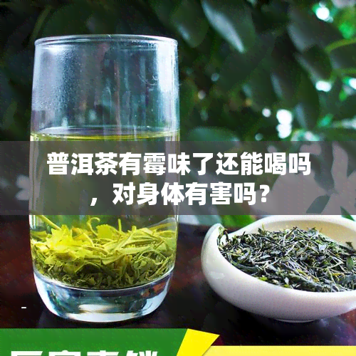 普洱茶有霉味了还能喝吗，对身体有害吗？