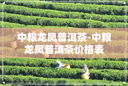 中粮龙凤普洱茶-中粮龙凤普洱茶价格表