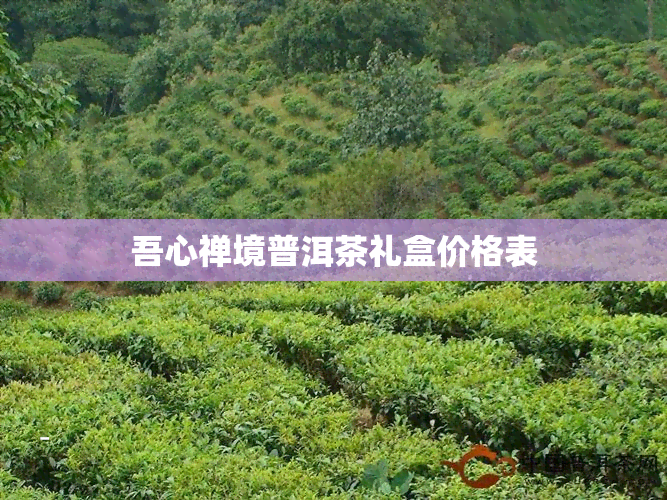 吾心禅境普洱茶礼盒价格表