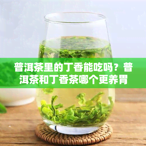 普洱茶里的丁香能吃吗？普洱茶和丁香茶哪个更养胃？