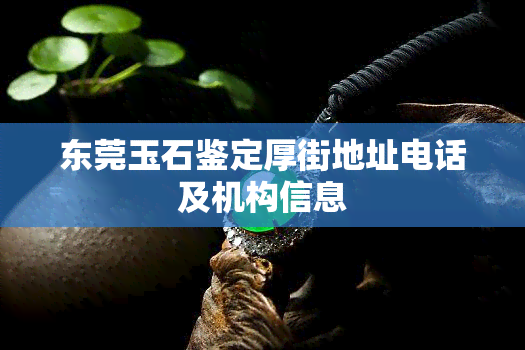 东莞玉石鉴定厚街地址电话及机构信息