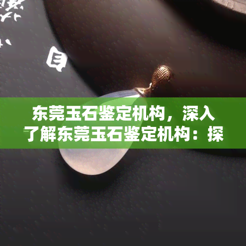 东莞玉石鉴定机构，深入了解东莞玉石鉴定机构：探索珠宝行业的权威认证