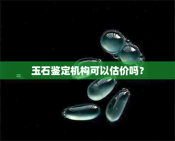 玉石鉴定机构可以估价吗？