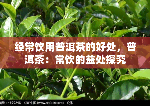 经常饮用普洱茶的好处，普洱茶：常饮的益处探究