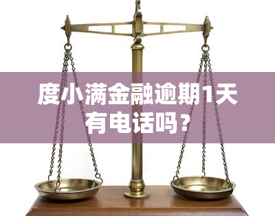 度小满金融逾期1天有电话吗？