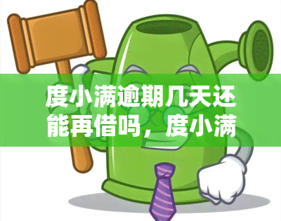 度小满逾期几天还能再借吗，度小满逾期几天后仍可再次借款？解析最新政策