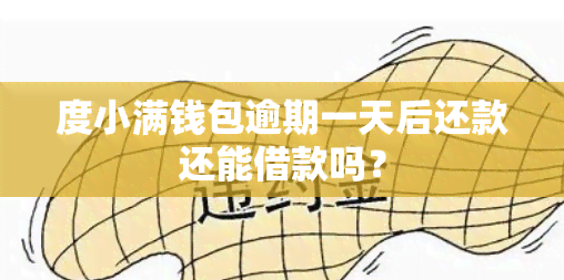 度小满钱包逾期一天后还款还能借款吗？