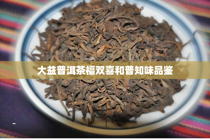 大益普洱茶福双喜和普知味品鉴