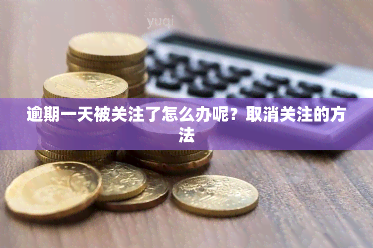 逾期一天被关注了怎么办呢？取消关注的方法