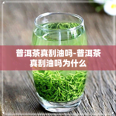 普洱茶真刮油吗-普洱茶真刮油吗为什么