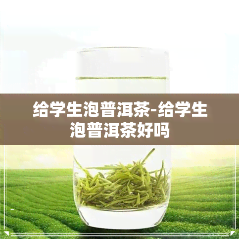 给学生泡普洱茶-给学生泡普洱茶好吗