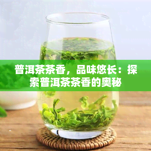 普洱茶茶香，品味悠长：探索普洱茶茶香的奥秘