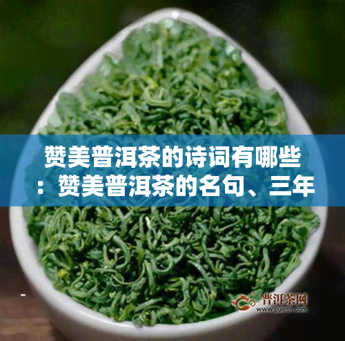 赞美普洱茶的诗词有哪些：赞美普洱茶的名句、三年级句子、普洱茶经典语录