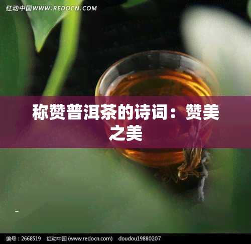 称赞普洱茶的诗词：赞美之美